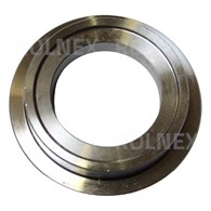 PIERŚCIEŃ CZOPU ZETOR