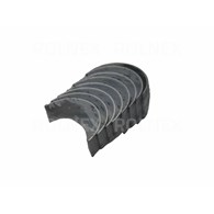 PANEWKI GŁÓWNE MF R1 BG