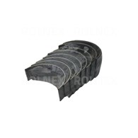 PANEWKI GŁÓWNE MF R3 BG