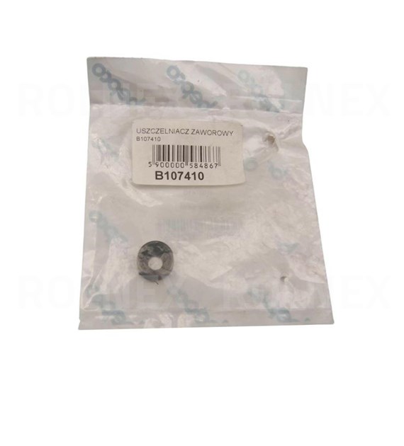 USZCZELNIACZ ZAWOROWY B107410