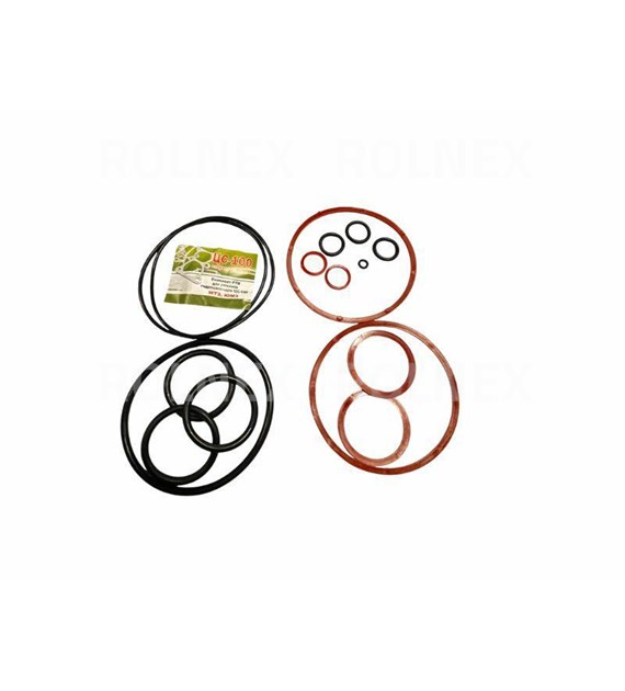 KOMPLET USZCZELEK SIŁOWNIKA MTZ C100 ST