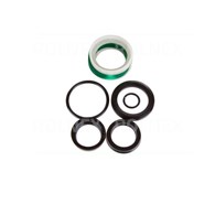 ZESTAW NAPRAWCZY SIŁOWNIKA WARIATORA NT F-173