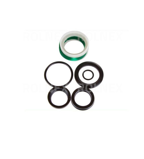 ZESTAW NAPRAWCZY SIŁOWNIKA WARIATORA NT F-173