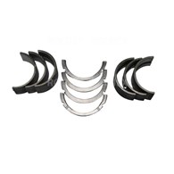 PANEWKI GŁÓWNE T25 R2