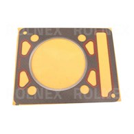 USZCZELKA GŁOWICY S231 MORPAK