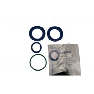 ZESTAW CLAAS SIŁOWNIKA WYSYPU 520-CL0013 MERCATOR DOMINATOR