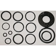 KOMPLET USZCZELEK POMPY P-120 BIARDZKI