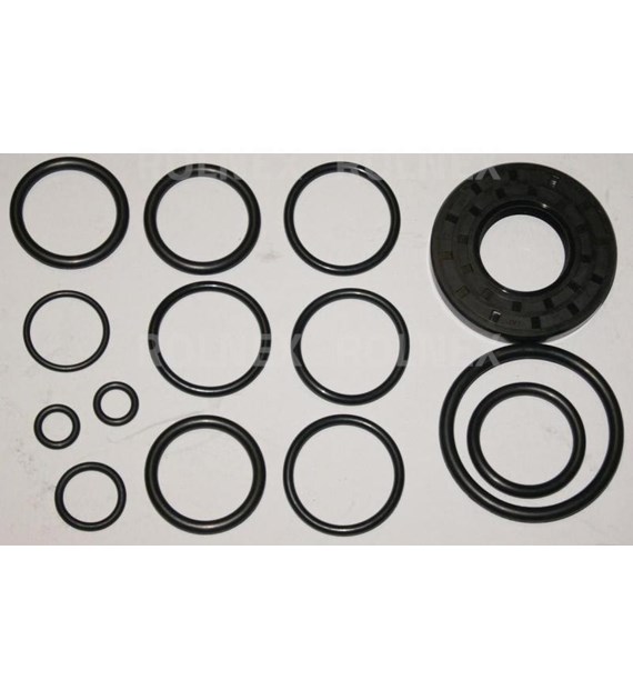 KOMPLET USZCZELEK POMPY P-120 BIARDZKI