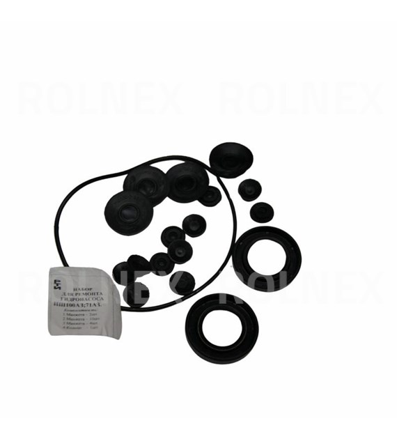 KOMPLET USZCZELEK POMPY NSZ 100