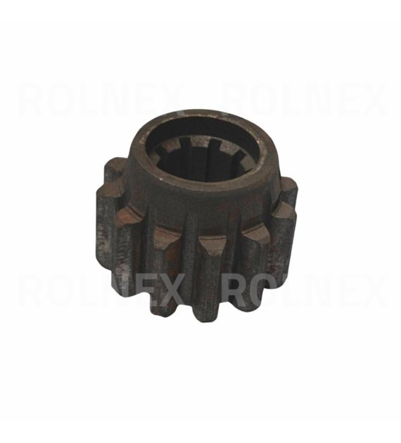 KOŁO ZWOLNICY MAŁE ŻUBROŃ/LEDA