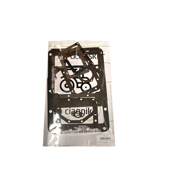 KOMPLET USZCZELEK SKRZYNI MTZ POLGASKET klingeryt