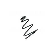 SPRĘŻYNA HAMULCA C385 PL